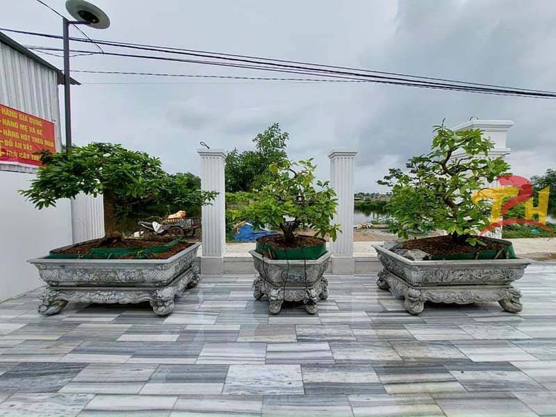 Đá mài honed lát sân vườn vừa chống trơn trượt vừa đảm bảo tính thẩm mỹ.