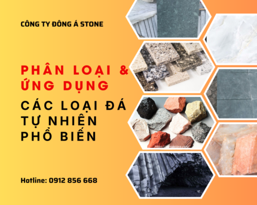 phan loai da tu nhien