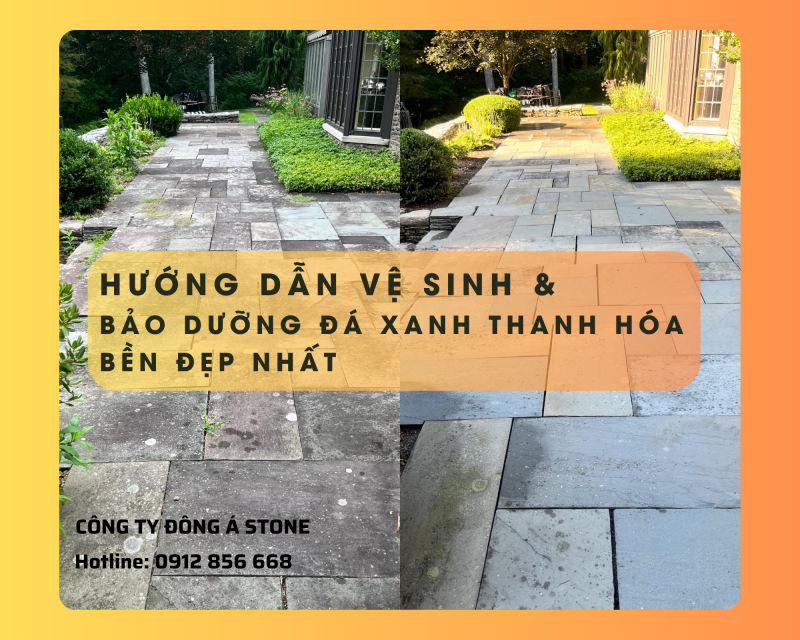 bao quan da xanh thanh hoa