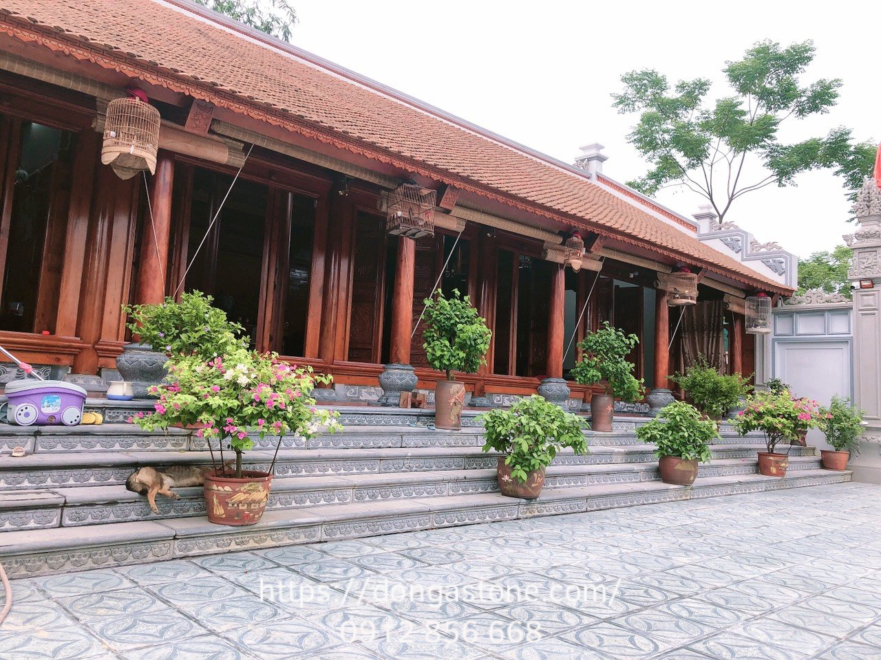 Bảng giá đá ốp tường, đá trang trí tiểu cảnh Thanh Hóa 2026