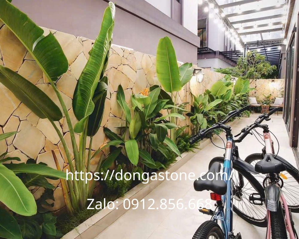 da roi op tuong 1